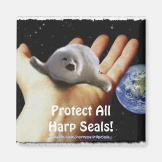 Imã Proteja Todas As Focas Harp! Magneta Selvagem