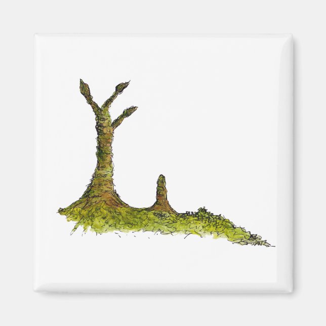 Imã Prototaxites Lichens Magnet (Frente)