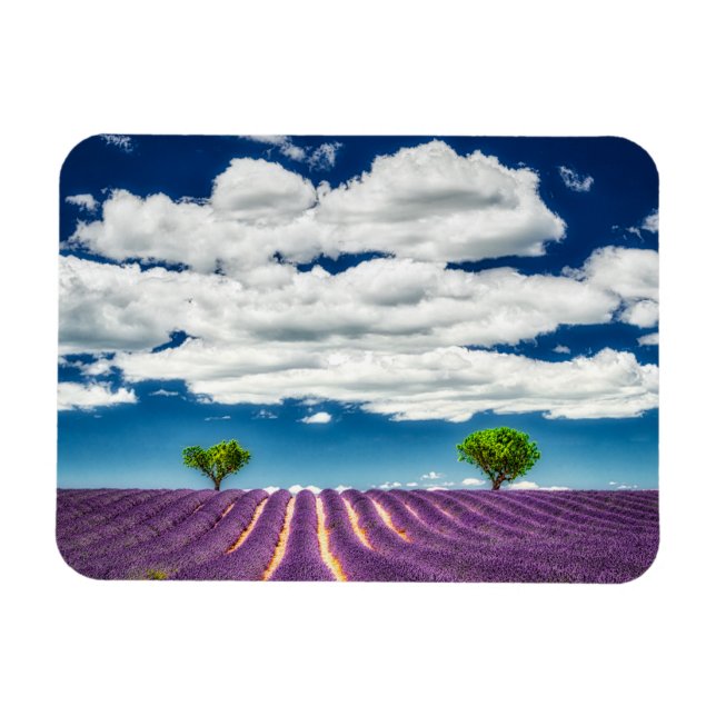 Ímã Provença (Horizontal)