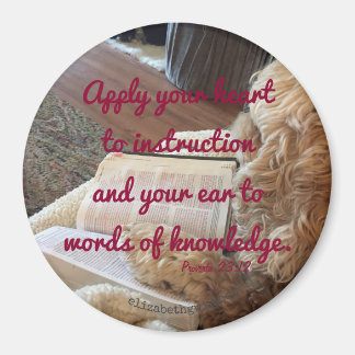 Imã Provérbios 23:12 ímã