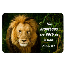 Ímã Provérbios 28:1 Direito são Negrito como Bíblia de