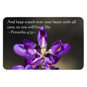 Ímã Provérbios 4:23