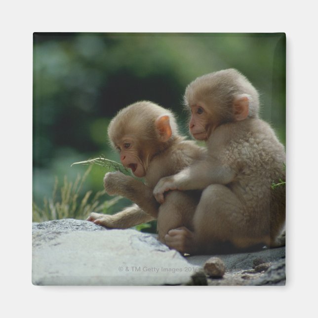 Imã Província de Nagano, Japão (Frente)