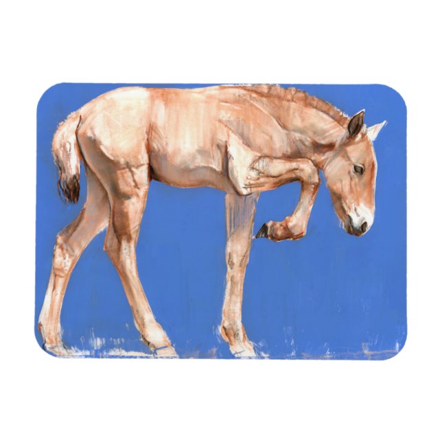 Ímã Przewalski Foal 2012 (Horizontal)