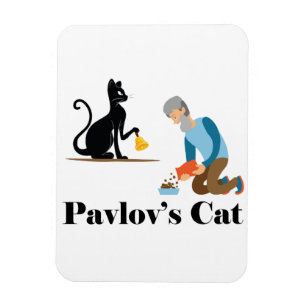 Ímã Psicologia Gata de Pavlov