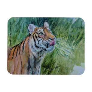 Ímã psto em perigo do tigre
