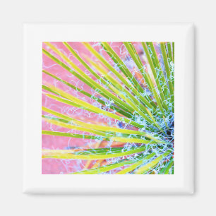 Imã Psychedelic Yucca