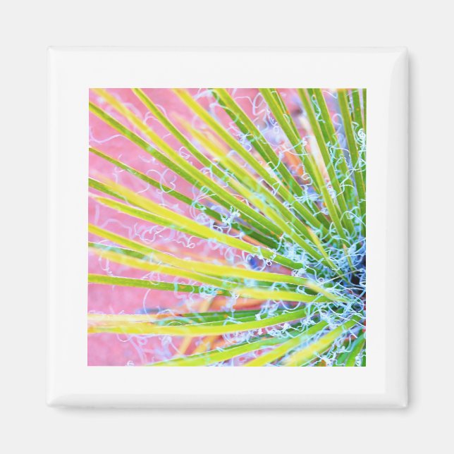 Imã Psychedelic Yucca (Frente)