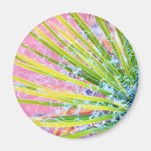 Imã Psychedelic Yucca