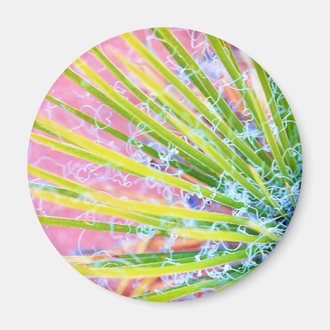 Imã Psychedelic Yucca (Frente)