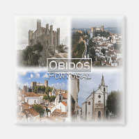 PT0037 Europa, Portugal, Óbidos, geladeira