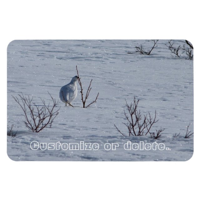 Ímã Ptarmigan Snacking; Personalizável (Horizontal)