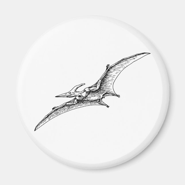 Imã Pterodactilo (Frente)