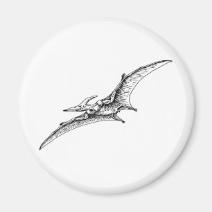 Imã Pterodactyl