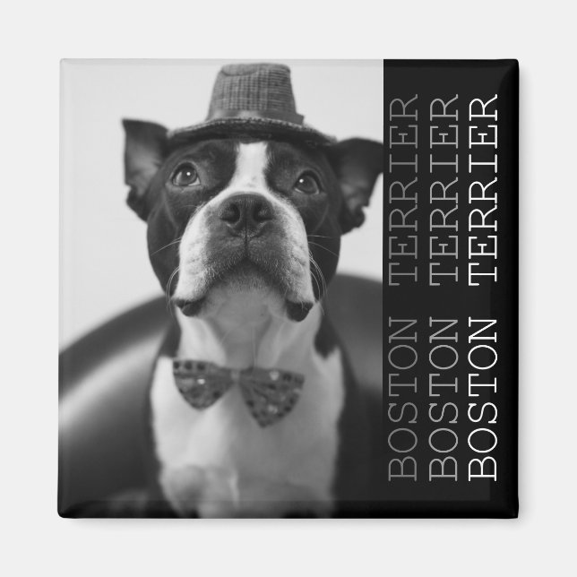 Imã Pucca Magnets B (Frente)