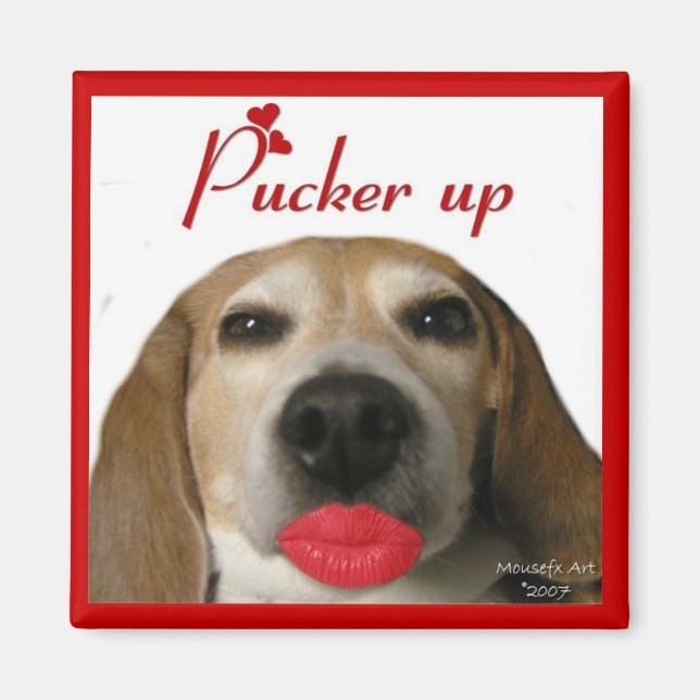 Imã Pucker Up Beagle Magnet (Frente)