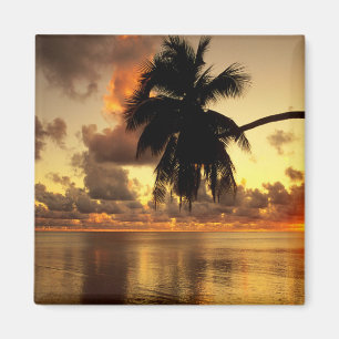 Imã Puerto Vallarta