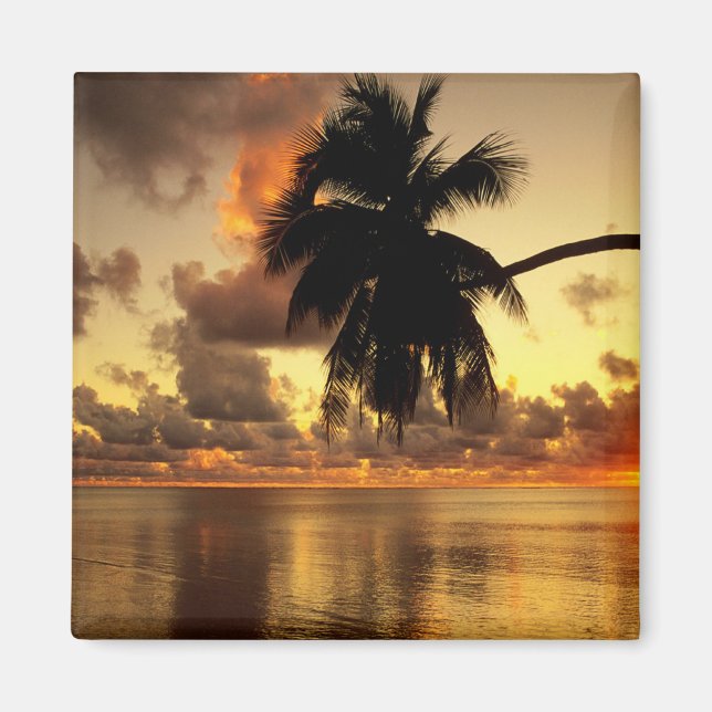 Imã Puerto Vallarta (Frente)