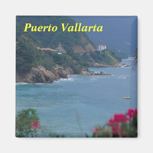 imã puerto vallarta