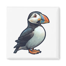 Puffin atlântico