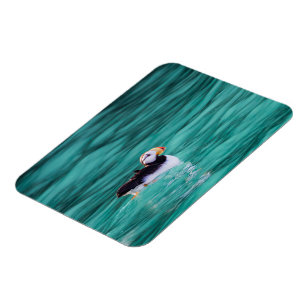 Ímã Puffin In Resurrection Bay, Alaska