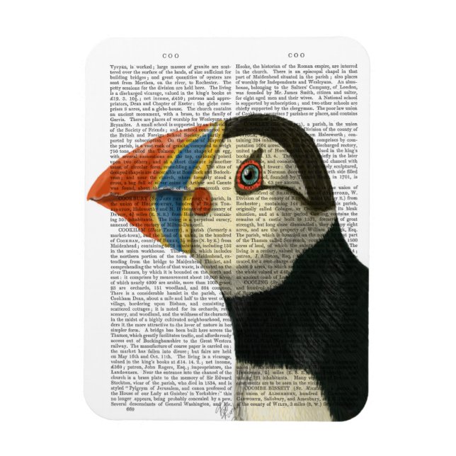 Ímã Puffin Retrait (Vertical)