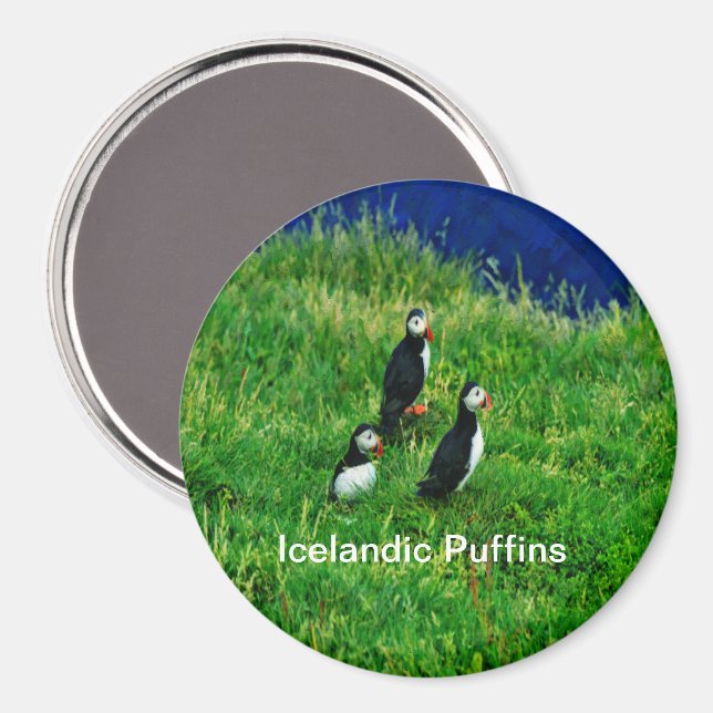 Imã Puffins Islandeses no Verão (Front/Back)