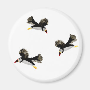Imã Puffins na Arte das Aves Costeiras de Voo