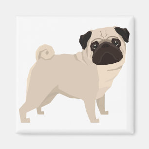 Imã Pug