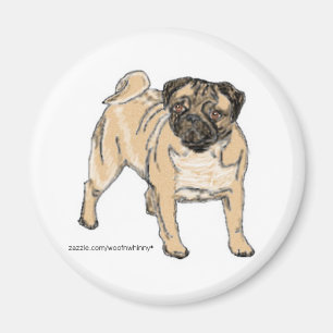 Imã Pug