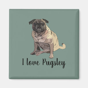 Imã Pug