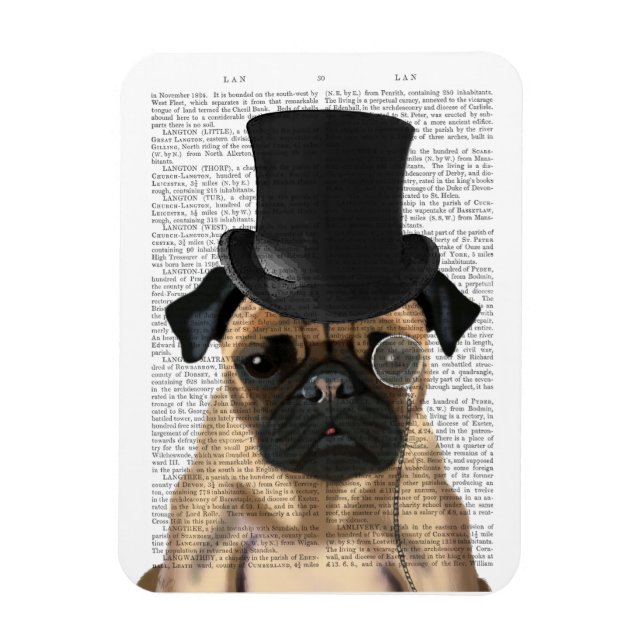 Ímã Pug, Chapéu Formal e Chapéu (Vertical)