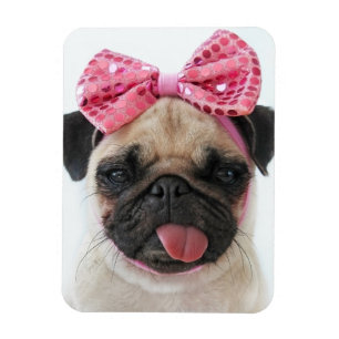 Ímã Pug com Arco rosa