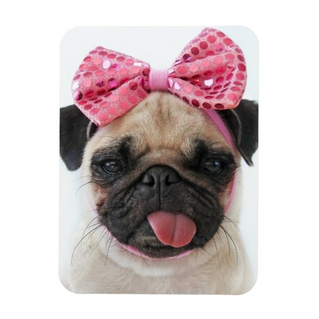 Ímã Pug com Arco rosa (Vertical)