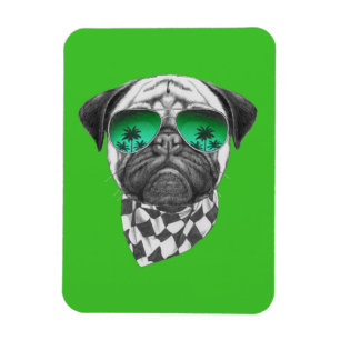 Ímã Pug de Miami