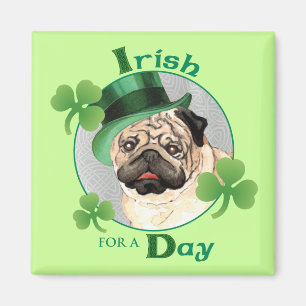 Imã Pug do dia de St Patrick