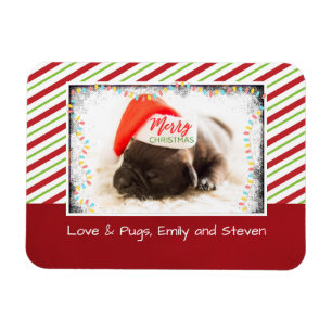 Ímã Pug do Natal no chapéu do papai noel com luzes de
