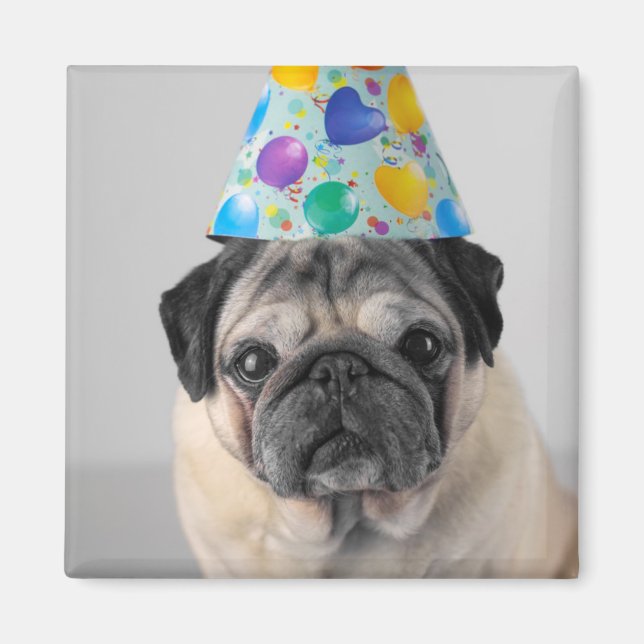 Imã Pug do Partido (Frente)
