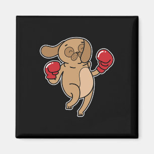 Imã Pug Dog Boxing