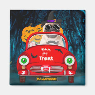Imã Pug Dog Dirigindo Carro Assustador Halloween