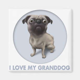 Imã Pug Granddog