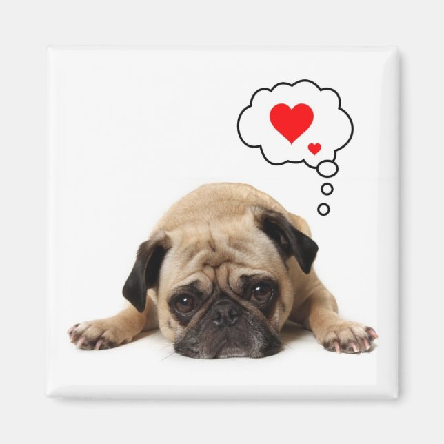 Imã Pug Hearts Magnet (Frente)