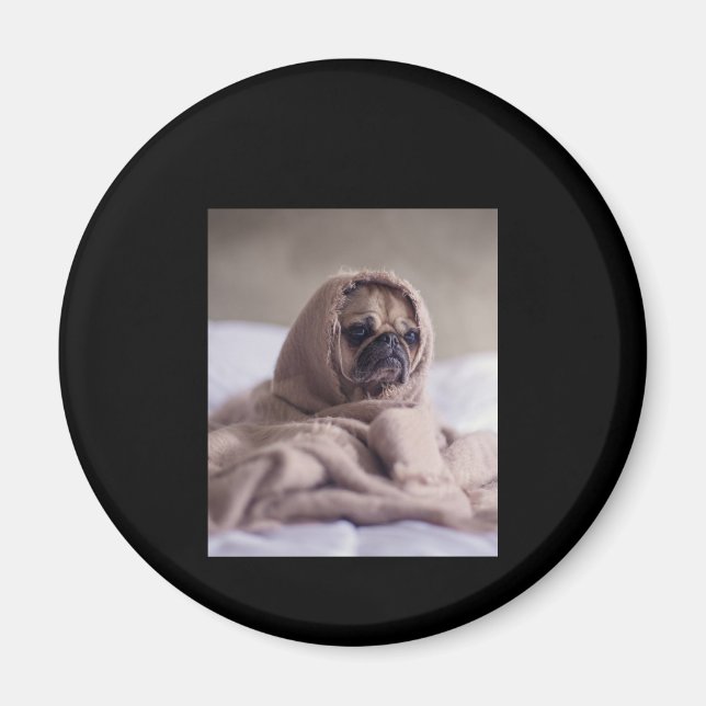 Imã Pug In Blanket Cute Pug Dover Gift (Frente)