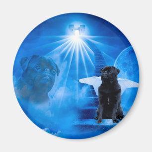 Imã Pug in Heaven as Angel Sympathy