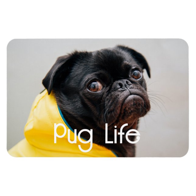 Ímã "Pug Life" (Vida Útil) Imagem Fotográfica Totalmen (Horizontal)