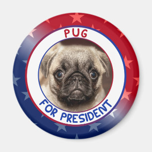 IMÃ PUG PARA O PRESIDENTE