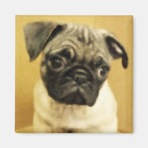Imã Pug Puppy Magnet