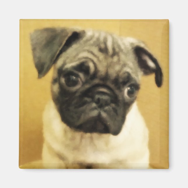 Imã Pug Puppy Magnet (Frente)