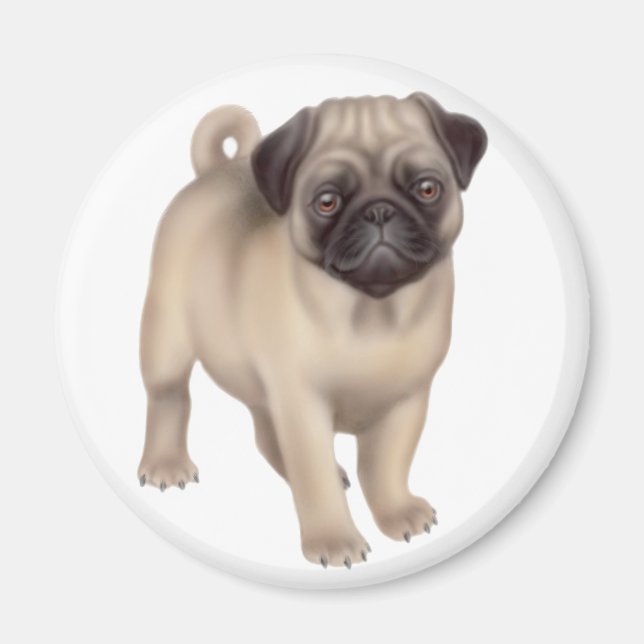 Imã Pug Puppy Round Magnet (Frente)