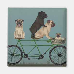 Imã Pug Tandem
